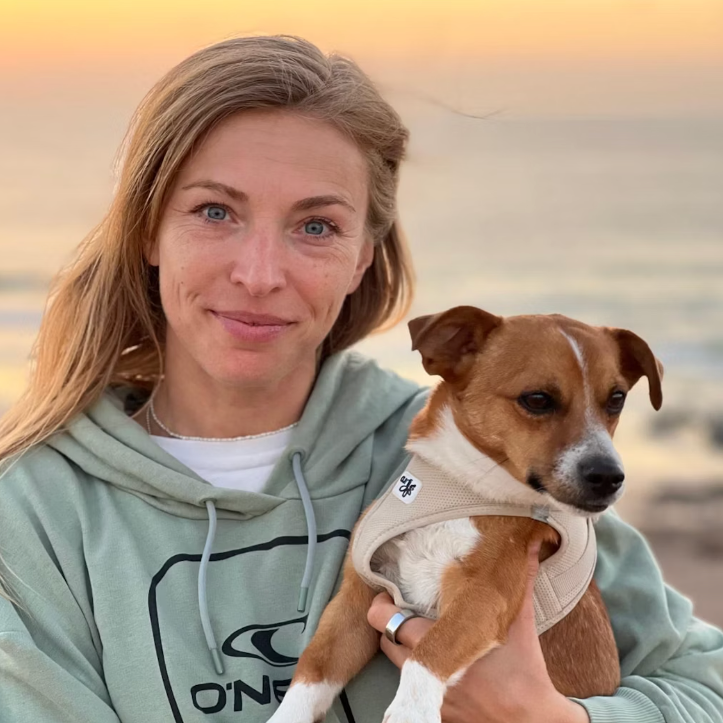 Hund mit Besitzern – glücklicher Hund nach professioneller Hundetagesbetreuung